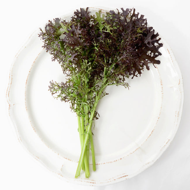Close-up of Frizzy Lizzy mustard greens showing frilly, deeply toothed purple and green leaves on a white plate
