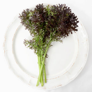 Close-up of Frizzy Lizzy mustard greens showing frilly, deeply toothed purple and green leaves on a white plate