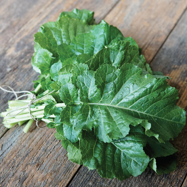 Close-up of Amara Ethiopian kale-mustard plant leaves showing crinkled green foliage on a wood surface