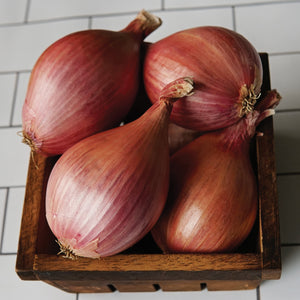 DAVIDOR-SHALLOT