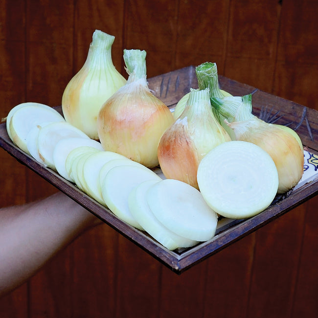 Close up of Cortland onion bulbs with one halved to show white flesh on a wooden tray