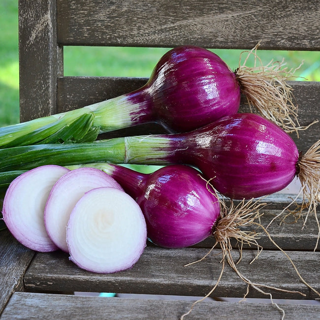 Close-up of Red Bull onion bulbs showing dark red, globe-shaped skin and one sliced onion revealing the white interior on wood with green tops