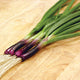 RED BARON-ONION