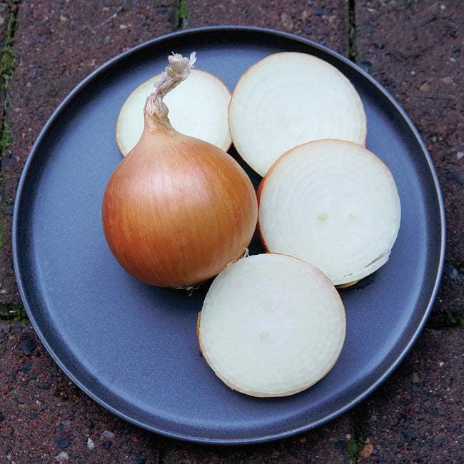 Three-quarter view of Cartier onion showing tan globe-shaped bulb and sliced rings on a dark plate