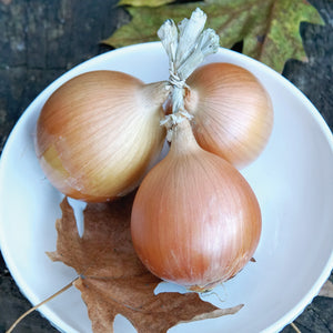 ALMAGRO-ONION