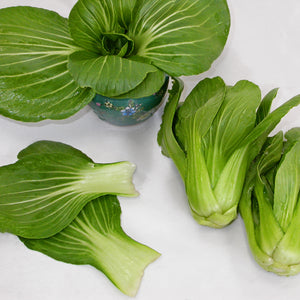 Close-up of baby Ching-Chiang pak choi leaves showing smooth medium-green leaves and thick petioles on white background