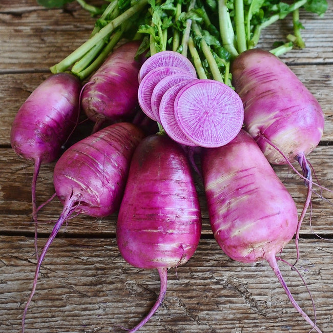 Front view of Sweet Baby daikon radishes with elongated violet skins and pale lavender interiors on a white background