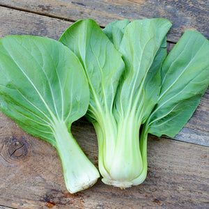 Top-down view of three Yuushou pak choi heads showing thick pale green stems and broad tender leaves on a wooden board