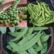 PEA-PLES CHOICE-PEA