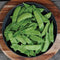 OREGON SUGAR POD II-PEA