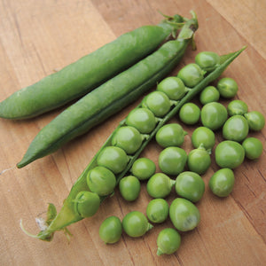 Close-up of Green Arrow pea pods and shelled peas showing plump peas and pods on white background