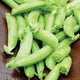 Close-up of Nairobi snap pea pods showing dark green, plump stringless pods in a small pile