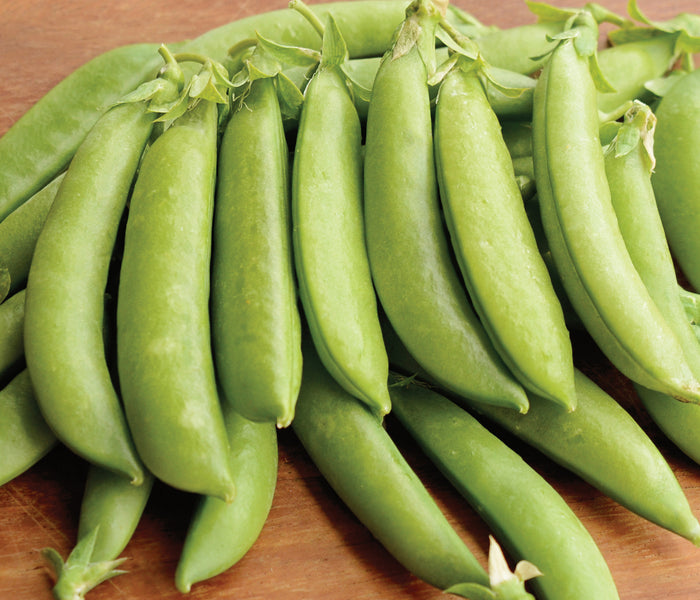 Close-up of Sugar Daddy snap pea pods showing curved, stringless 3-inch green pods on a wooden surface