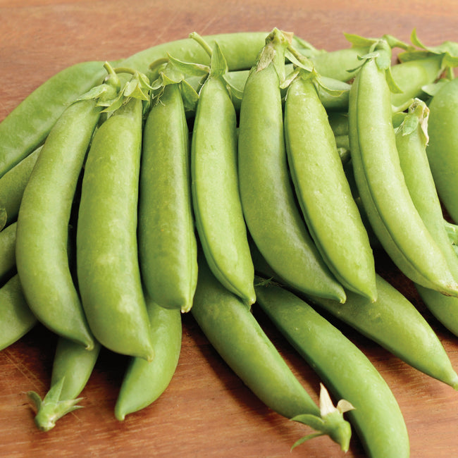 Close-up of Sugar Daddy snap pea pods showing curved, stringless 3-inch green pods on a wooden surface