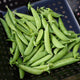 Top view of Sugar Sprint snap pea pods showing bright green, nearly stringless 3-inch pods in a shallow black crate