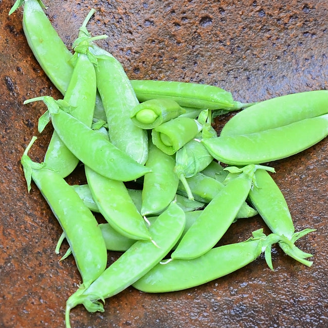 Top-down close-up of Super Sugar Snap pea pods showing plump, bright green, stringless pods in a rust-colored bowl