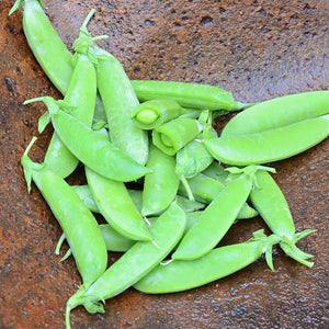 Top-down close-up of Super Sugar Snap pea pods showing plump, bright green, stringless pods in a rust-colored bowl