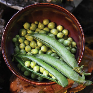 Top-down view of Lincoln pea pods and shelled green peas in a brown ceramic bowl on a rustic surface