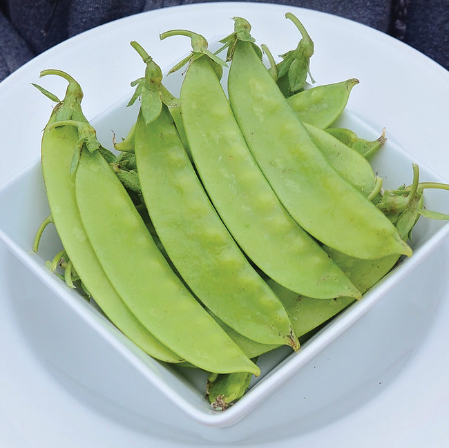 A bunch of Green beauty peas placed in a bowl on a table. 