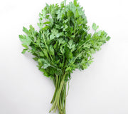 Top-down view of Dark Green Italian flat-leaf parsley bunch showing deeply cut leaves and long stems on a white background
