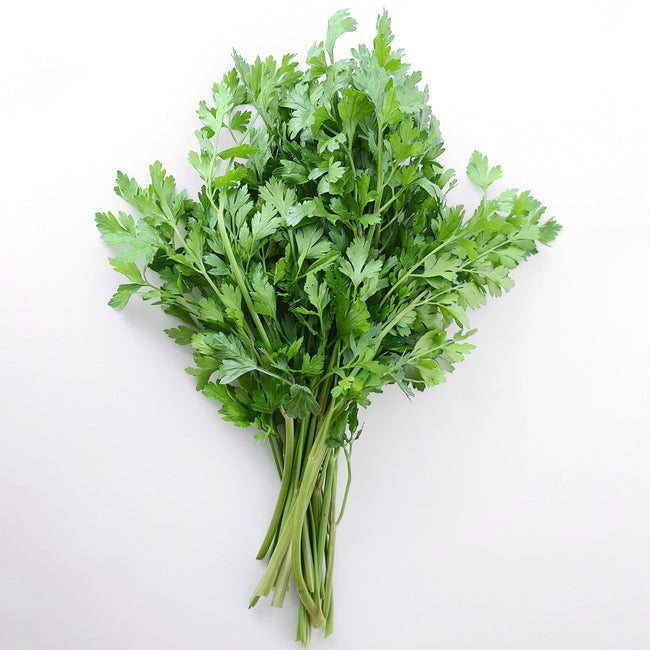 Top-down view of Dark Green Italian flat-leaf parsley bunch showing deeply cut leaves and long stems on a white background