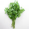 Top-down view of Dark Green Italian flat-leaf parsley bunch showing deeply cut leaves and long stems on a white background
