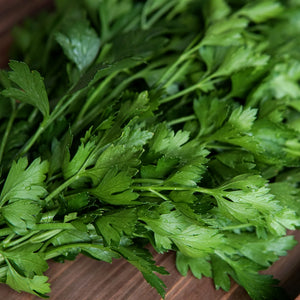 Close-up of Gigante d'Italia flat-leaf parsley showing large glossy leaves with water droplets on a wooden surface
