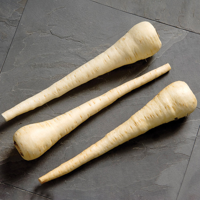 WHITE SPEAR-PARSNIP