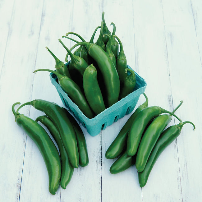 Top-down view of Pathfinder serrano peppers in a small teal basket showing glossy 4 to 5 inch green peppers on white wooden boards