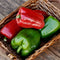 Close-up of California Wonder 300 bell peppers showing thick-walled, blocky green fruit beginning to turn red on a white background
