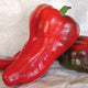Angled view of Italian Sweet pepper showcasing glossy red conical, thick-walled fruit on white background