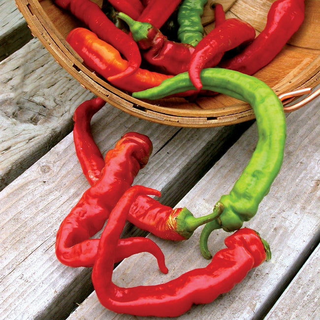 Close-up of Jimmy Nardello pepper showing long slender red and green fruits on a weathered wooden surface