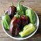 Top-down view of Candy Cane Chocolate Cherry peppers in a white bowl showcasing variegated green, red, and chocolate-striped mini bell fruits on a wooden table