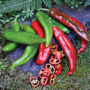 ANAHEIM COLLEGE 64-PEPPER