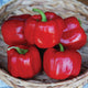 Close-up of five Double Up bell peppers showcasing glossy ripe red blocky fruits in a woven basket