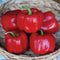 Close-up of five Double Up bell peppers showcasing glossy ripe red blocky fruits in a woven basket