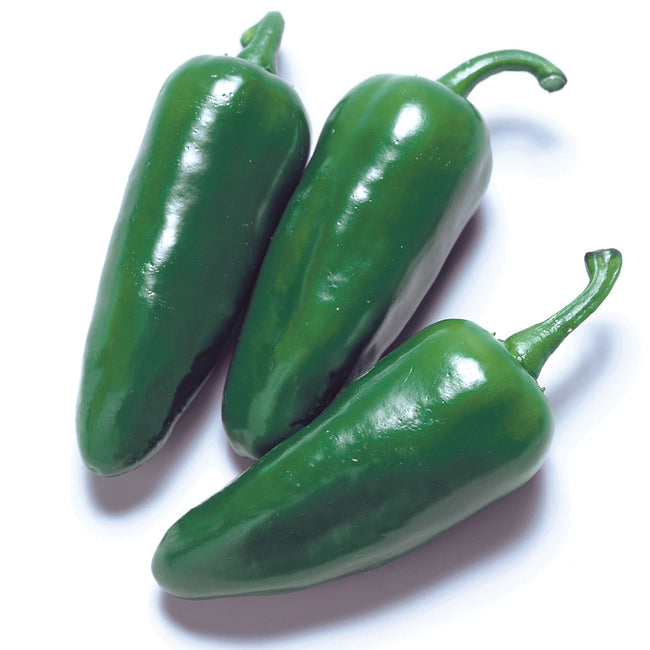 Close-up of Felicity jalapeño peppers showing three thick-walled green fruits on white background