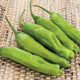 Close-up of Takara shishito peppers showcasing light green, slender 3-inch fruits on stems