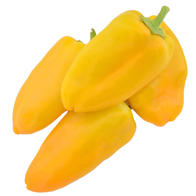 Front view of Yellow Sweetie snack peppers showcasing bright yellow 1 1/2 by 3 1/2 inch sweet, crisp fruits on white background