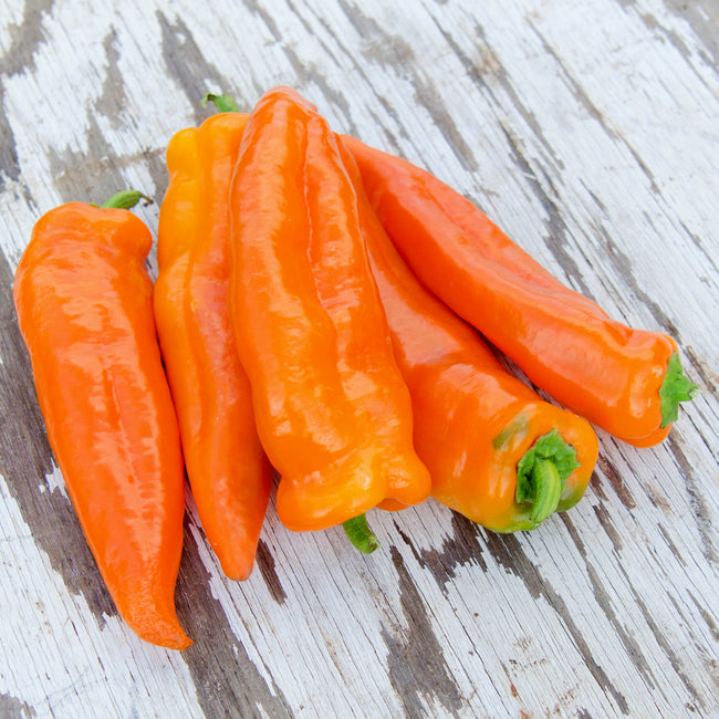 Close-up of Oranos orange sweet peppers showcasing long tapered shape and glossy skin on weathered wood background