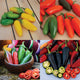 Front view of Poppin' Jalapeño Party seed packet showing four colorful jalapeño varieties on white background