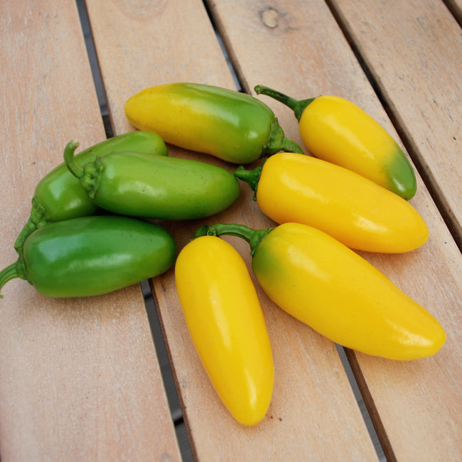 Close-up of Lemon Spice peppers showing green-to-yellow ripening jalapeno-style fruits on a wooden tabletop