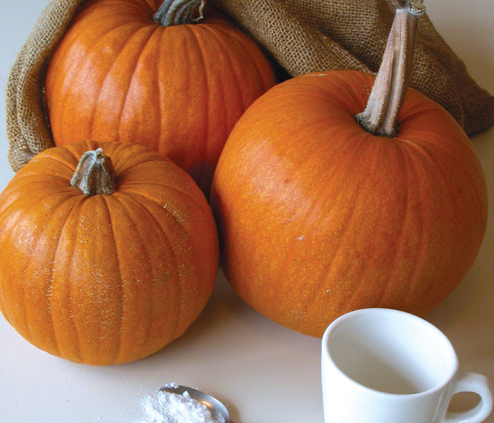 Front view of Small Sugar pumpkin showing a round, slightly ribbed bright orange fruit on white background
