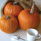 Front view of Small Sugar pumpkin showing a round, slightly ribbed bright orange fruit on white background