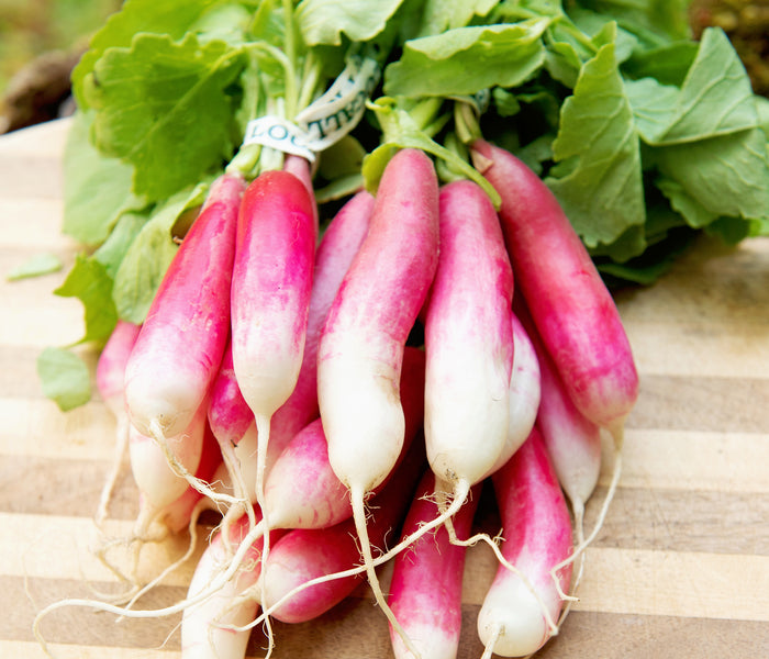 Close up of French Breakfast radish bunch showing pink and white cylindrical roots and leafy green tops on a wooden cutting board