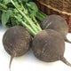 Close-up of three Runder Schwarzer Winter radishes showing round dark skin and attached green tops on white background
