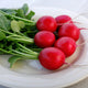 Close-up of Crunchy Crimson radishes on a white plate showing bright red skin and green tops