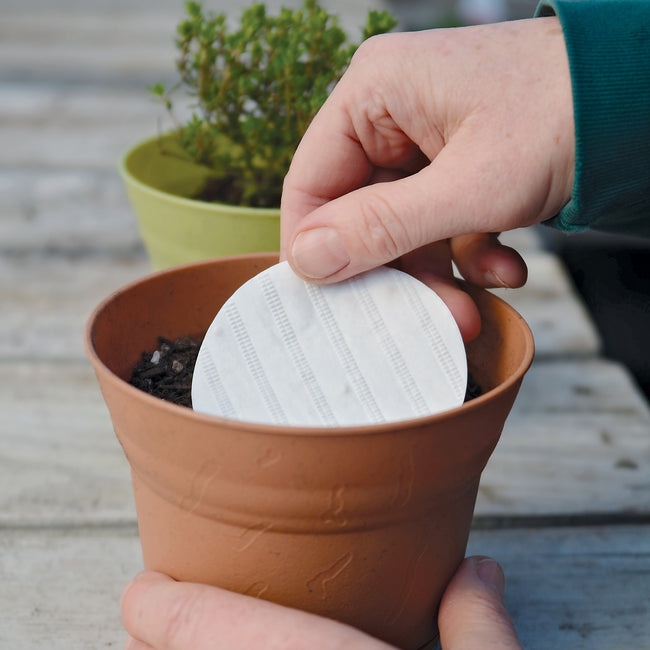 Close-up of a hand placing a round herb seed disk into a terracotta pot of soil with a potted herb in the background