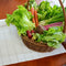 Angled view of Spring Garden seed mat with a basket of mixed vegetables including lettuce, carrots, and beets on a wooden table