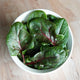 Close-up of Red Tabby spinach leaves showcasing dark green oval leaves and magenta veins on a white background